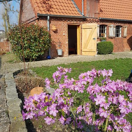 Ferienhaus Voern-Diek Hohnstorf Luaran gambar