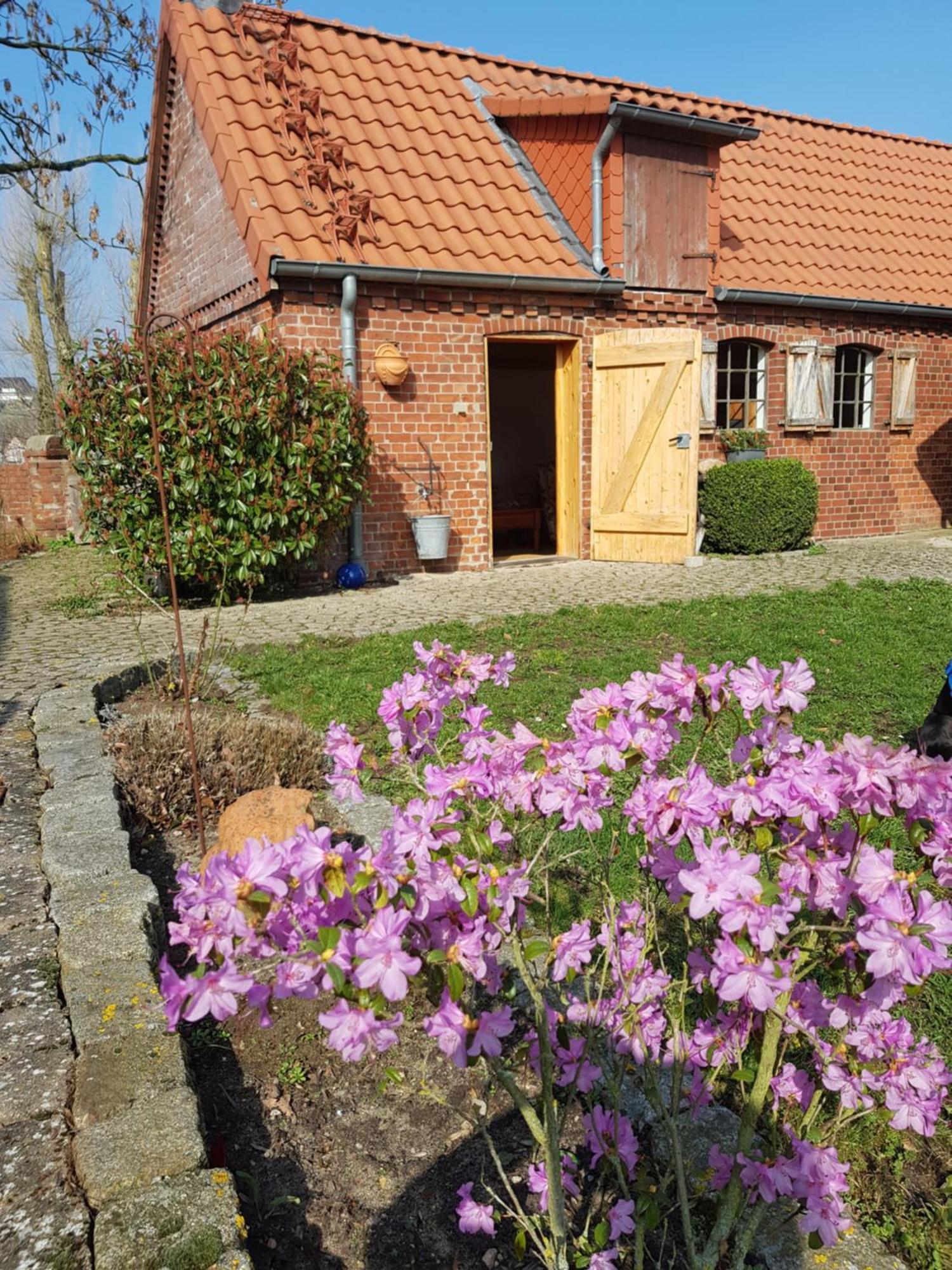 Ferienhaus Voern-Diek Hohnstorf Luaran gambar